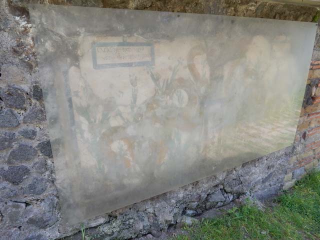 Painted street shrine on the wall at V.6.19. July 2010. Warning to passers-by added to street shrine. “CACATOR SIC VALEAS VT TV HOC LOCUM TRA(N)SEA(S)”.  CIL IV 6641.
Photo courtesy of Michael Binns.

According to Della Corte, the unknown proprietor of the unexcavated house or workshop, had the warning added to the street shrine.
The wording, between good wishes and irony, was:
Cacator, sic valeas, ut tu hoc (sic) locum trasia(s)  (= transeas).    [CIL IV 6641]
See Della Corte, M., 1965.  Case ed Abitanti di Pompei. Napoli: Fausto Fiorentino. (p.97)

According to Epigraphik-Datenbank Clauss/Slaby (See www.manfredclauss.de), it read:
Cacator, si<c=g> valeas
Ut tu hoc locum tra(n)sea(s)    [CIL IV 6641].

See Fröhlich, T., 1991. Lararien und Fassadenbilder in den Vesuvstädten. Mainz: von Zabern.(p.319, 35, Taf 56,2)
See also Spano, in Notizie degli Scavi, 1910, p.262.
