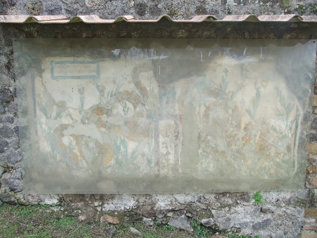 Lararium painted on the wall at V.6.19