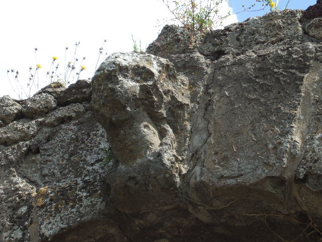 Head of Minerva above arch on inside of Nola Gate