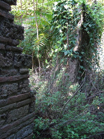 I.1.10 Pompeii. September 2010. Looking north through doorway with passage leading to I.1.1. Photo courtesy of Drew Baker.