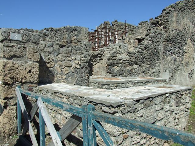 I.2.8 Pompeii.  December 2007.  East wall of rear room.