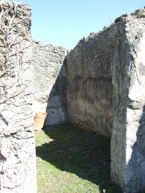 I.2.16 Pompeii. March 2009. Room 4, north wall of oecus with detail of remains of first style decoration.
