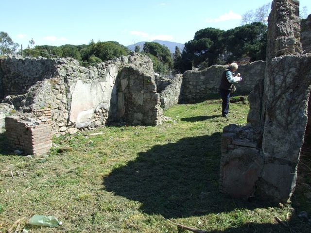 I.2.17 Pompeii. September 2010. Room 7, west wall of tablinum. 
Site of the story of Selene and Endymion and was set in a sacral-idyllic landscape, according to Peters. Photo courtesy of Drew Baker.
See Sogliano, A., 1879. Le pitture murali campane scoverte negli anni 1867-79. Napoli: (p.75)
