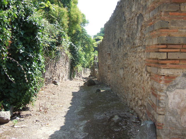 I.2.19 Pompeii. September 2010. Looking east from interior of doorway at 1.2.19, at rear of bar, into Vicolo del Citarista. Photo courtesy of Drew Baker.

