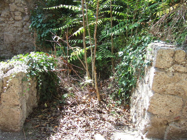 I.2.20 Pompeii. March 2009. Latrine in south east corner of kitchen area.