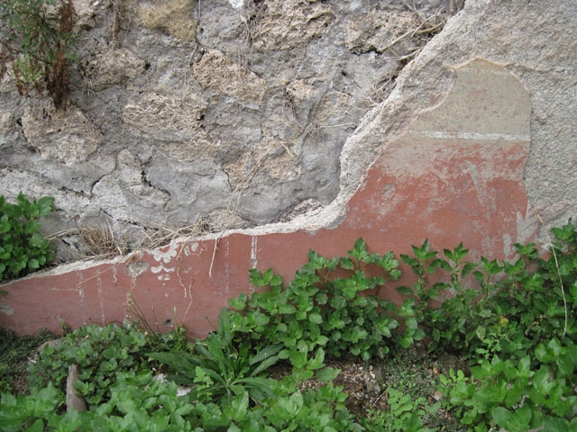 I.3.29 Pompeii. March 2009. Room 4. North wall. Tablinum.