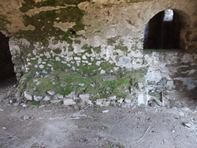 I.3.31 Pompeii. March 2009. West side of entrance room. Looking north.