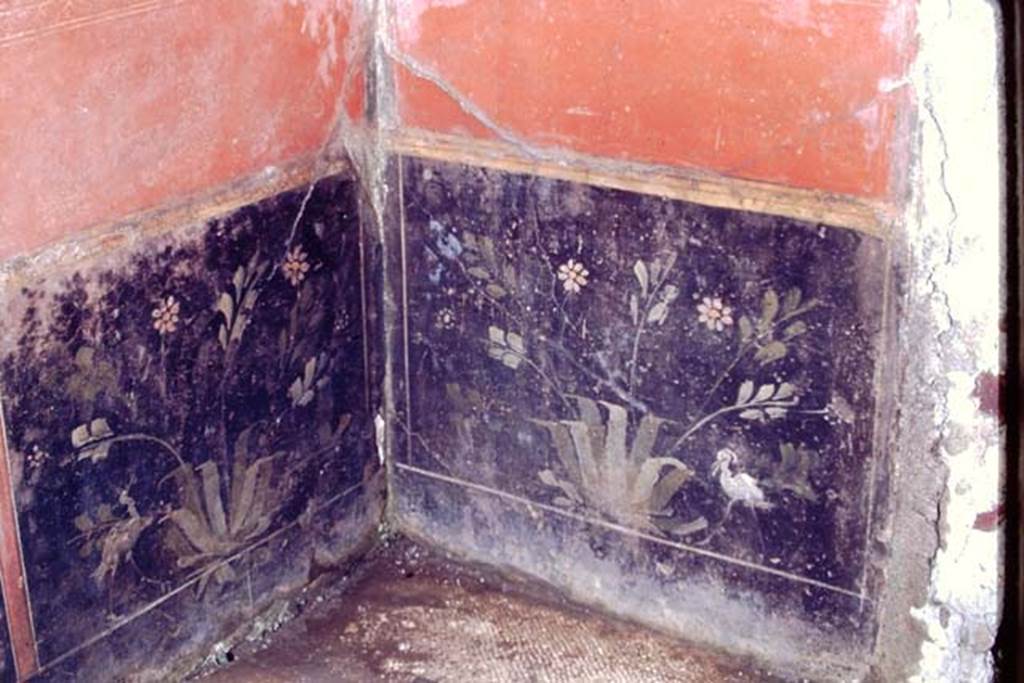 I.6.4 Pompeii. 1968. Room 5, black zoccolo with painted plants and birds in south-west corner near doorway.
Photo by Stanley A. Jashemski.
Source: The Wilhelmina and Stanley A. Jashemski archive in the University of Maryland Library, Special Collections (See collection page) and made available under the Creative Commons Attribution-Non Commercial License v.4. See Licence and use details.
J68f0459 
