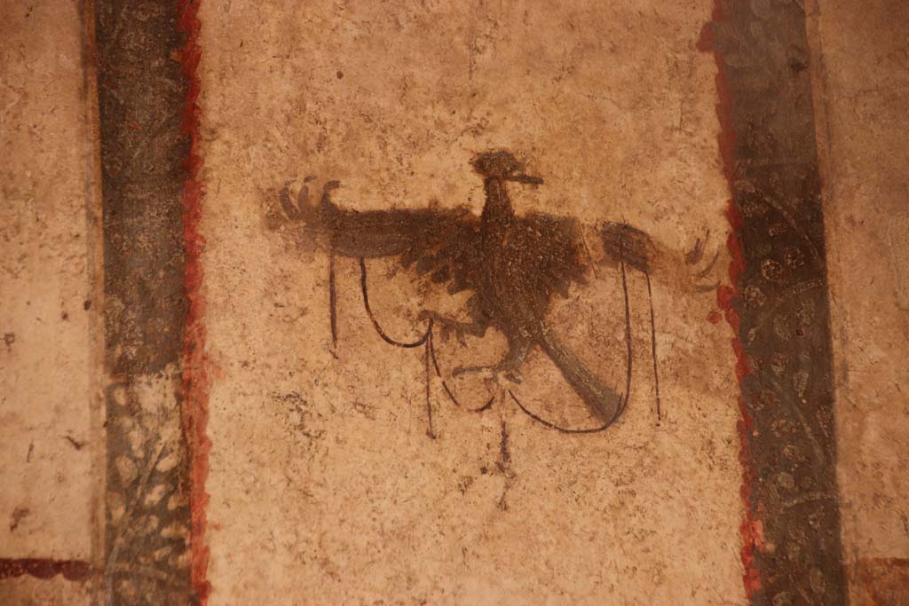 I.6.7 Pompeii. September 2019. Detail from north end of west wall. Photo courtesy of Klaus Heese.