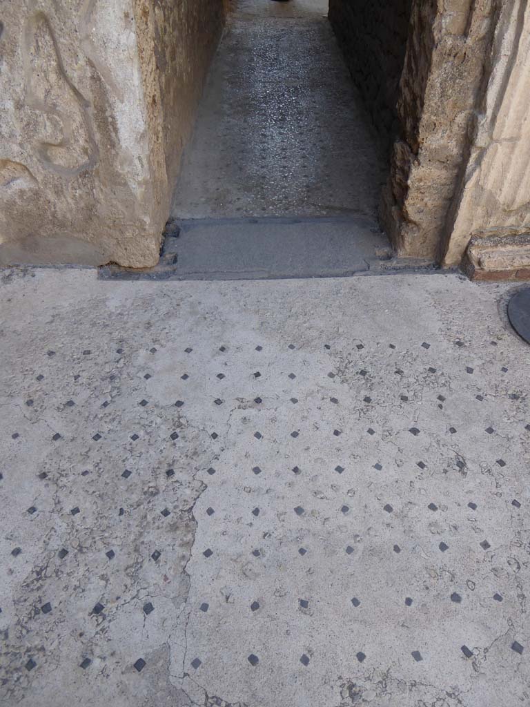 I.9.5 Pompeii. September 2017. 
Room 7, corridor to rear, looking south across atrium flooring towards doorway threshold.
Foto Annette Haug, ERC Grant 681269 DÉCOR.
