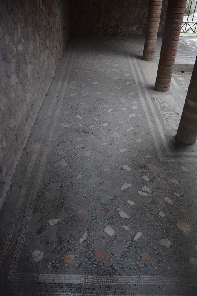 I.10.4 Pompeii. October 2017. Room 46, detail of atrium floor.
Foto Annette Haug, ERC Grant 681269 DCOR.
