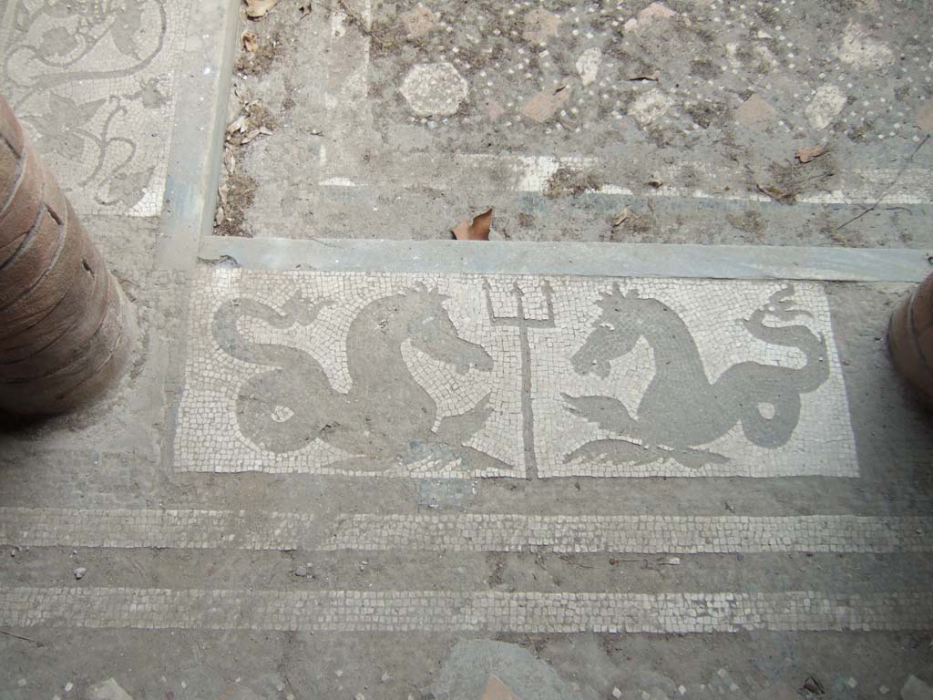I.10.4 Pompeii. May 2006. Room 46, atrium. Mosaic of two seahorses and a trident.