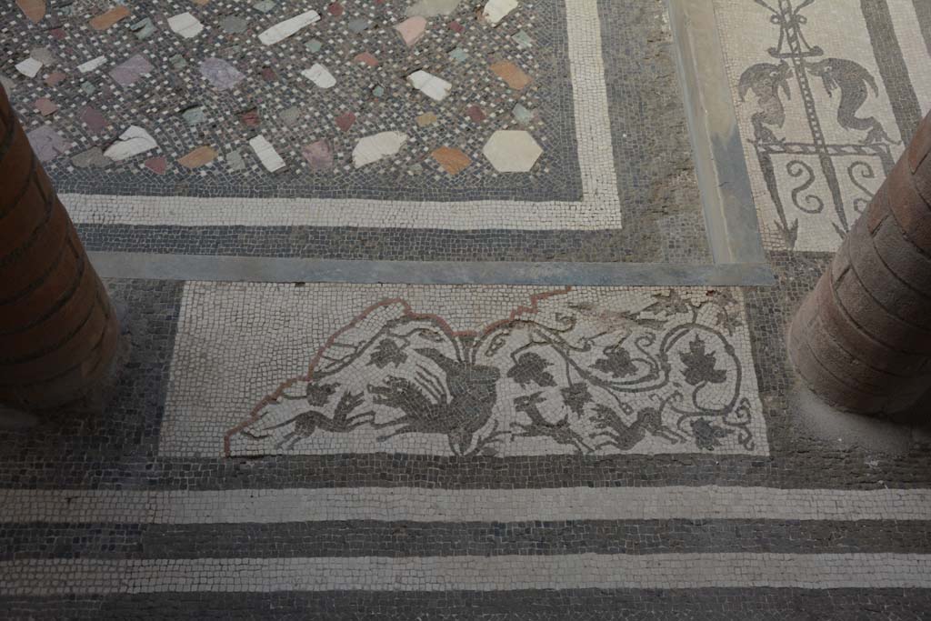 I.10.4 Pompeii. September 2019. Room 46, atrium. Mosaic of dogs attacking a giant sea creature?
Foto Annette Haug, ERC Grant 681269 DCOR.
