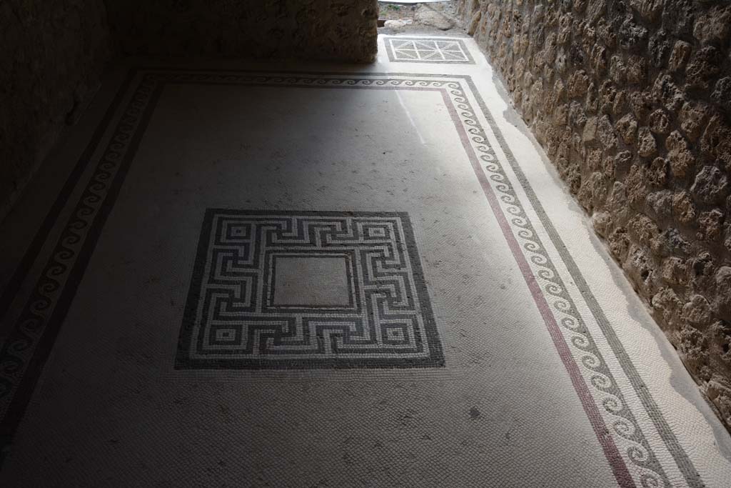 I.10.4 Pompeii. September 2019. Room 47, looking west across mosaic floor
Foto Annette Haug, ERC Grant 681269 DCOR.
