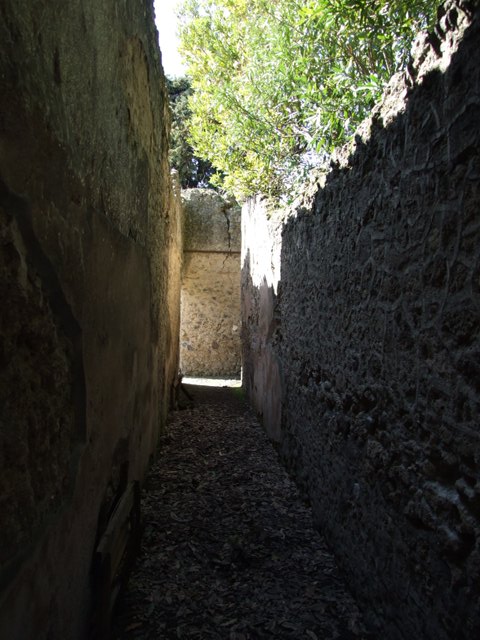 I.10.4 Pompeii. December 2006. Room 48, semi-circular alcove upper part.
