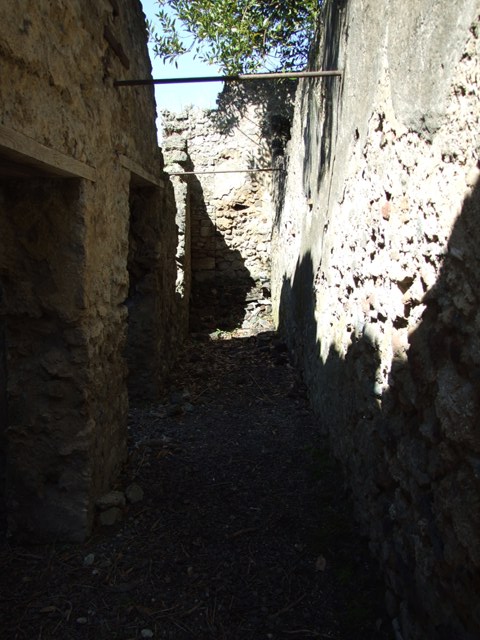 I.10.4 Pompeii. December 2006. Room 48, painted scene in semi-circular alcove.