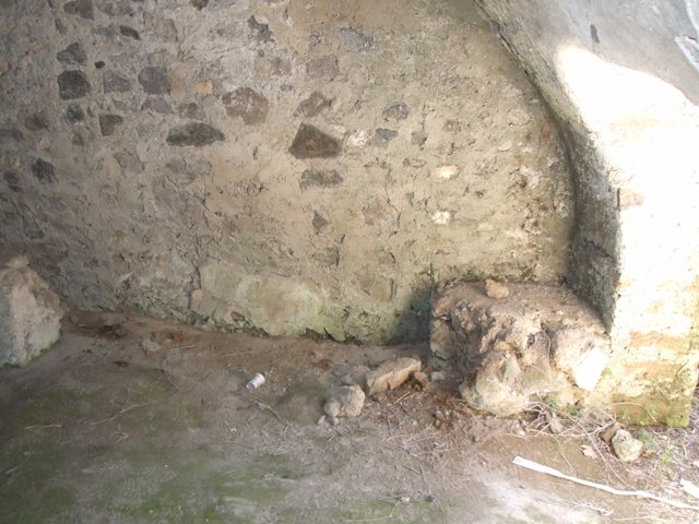 I.10.4 Pompeii. March 2009. Room 28, remains of painted plaster on north wall.