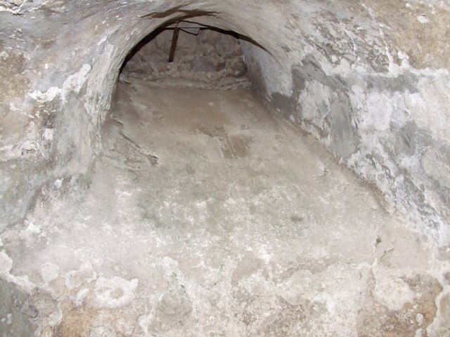 I.10.4 Pompeii. March 2009. Room 49 with remaining niche in north-east corner, and part of another niche, on the left. According to Jashemski, Maiuri identified this as a heliocaminus (an area exposed to the sun, used as a winter abode). See Jashemski, W. F., 1993. The Gardens of Pompeii, Volume II: Appendices. New York: Caratzas. (p.47; Fig 54 ).