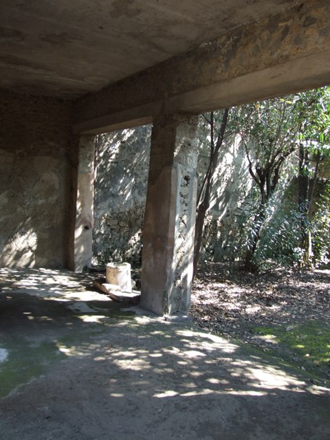 I.10.7 Pompeii. March 2009. Room 8, painted garden decoration around the lower section of the walls of the north wall.