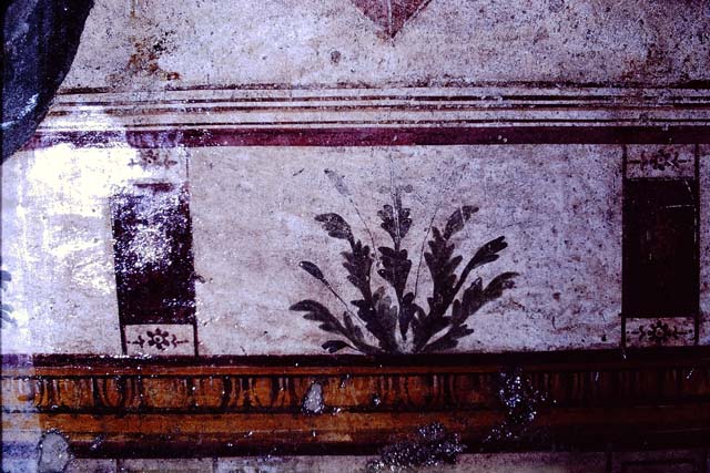 I.10.8 Pompeii. March 2009. Room 10. Corridor to rear and kitchen.