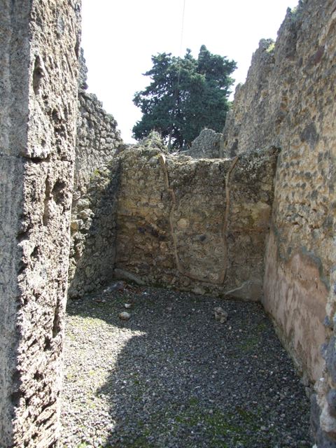 I.10.8 Pompeii. March 2009. Room 13. North wall, with remains of vaulted ceiling and upper window.