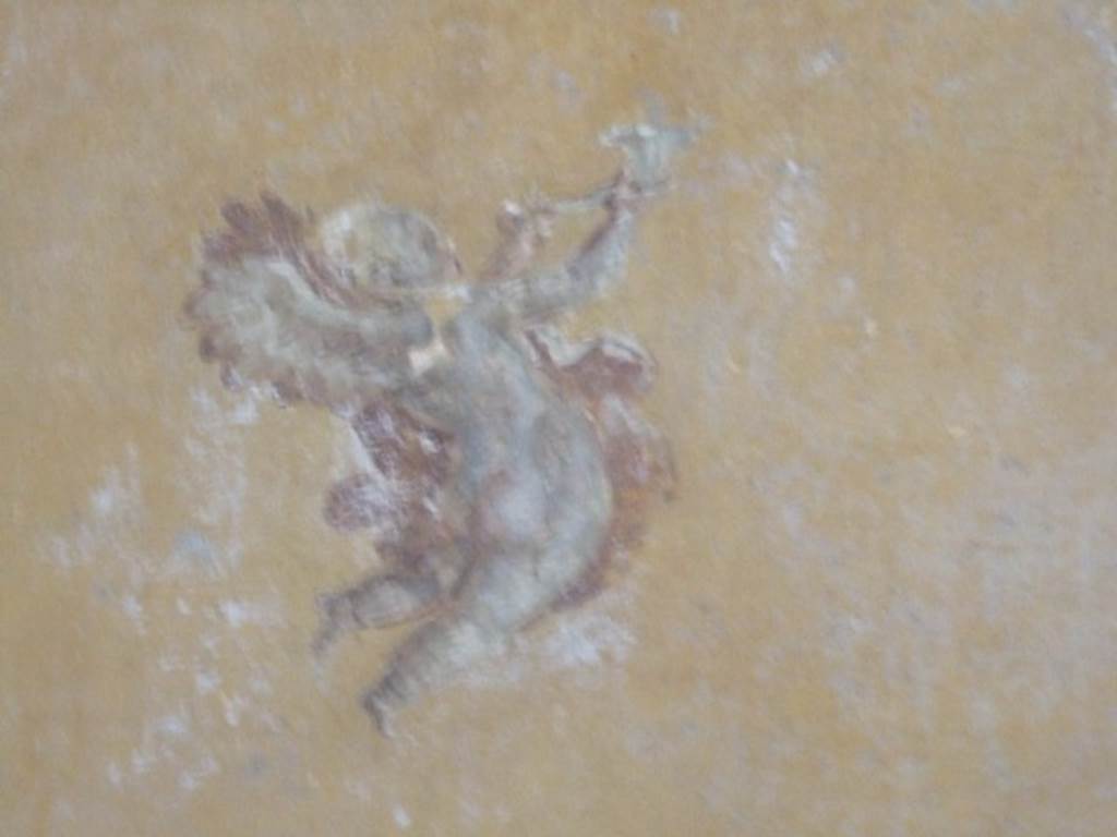 I.11.6 Pompeii. March 2009. Room 7, painted flying cherub from north end of east wall of triclinium.
