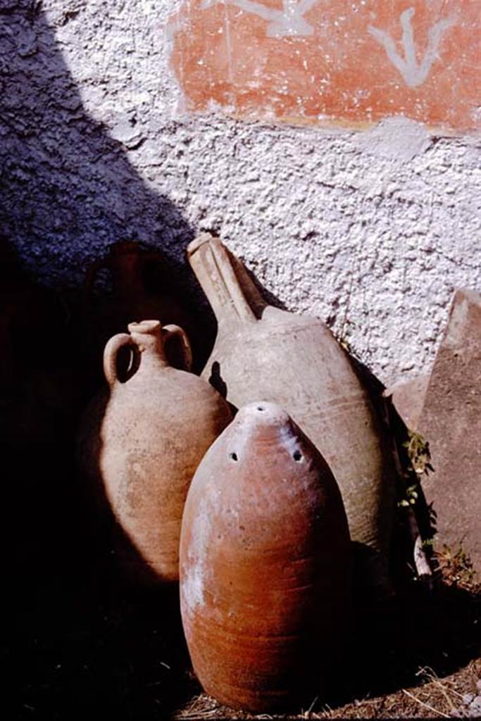 I.11.10 Pompeii. 1964. Amphorae. Photo by Stanley A. Jashemski.
Source: The Wilhelmina and Stanley A. Jashemski archive in the University of Maryland Library, Special Collections (See collection page) and made available under the Creative Commons Attribution-Non Commercial License v.4. See Licence and use details.
J64f1854
