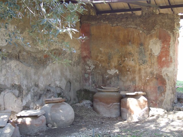 I.12.8 Pompeii.  March 2009.   Room. 7.  Looking north from large doorway to south portico of peristyle garden.