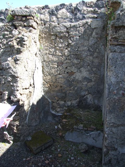 I.12.15 Pompeii. March 2009. Room 5, painted plants and white serpent from north end beneath the niche.