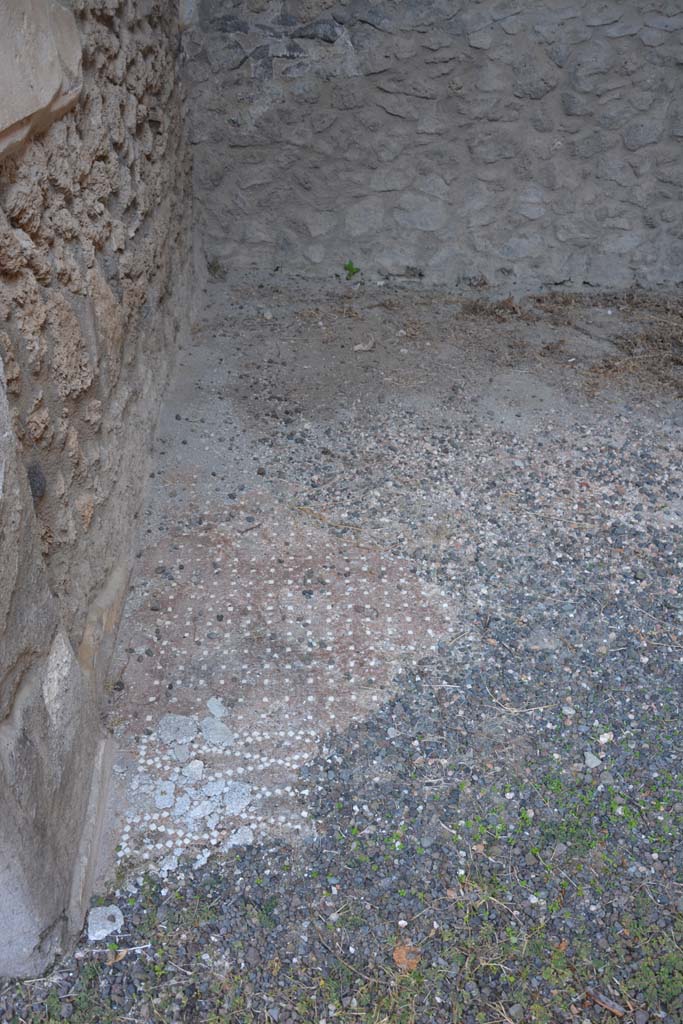 I.13.2 Pompeii. October 2019. Detail from flooring in left ala.
Foto Annette Haug, ERC Grant 681269 DÉCOR.
