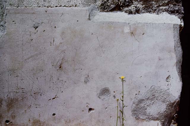 I.13.9 Pompeii. May 2010. Painted graffiti barely visible on north side of entrance.  According to Varone and Stefani, this was CIL IV 9870.
See Varone, A. and Stefani, G., 2009. Titulorum Pictorum  ompeianorum, Rome: L’erma di Bretschneider, (p.160)
According to Epigraphik-Datenbank Clauss/Slaby (See www.manfredclauss.de), this read as –
Popidium  D(uo)  V(irum)  I(ure)  D(icundo)
Lesbianus  [[popule]]  rogat        [CIL IV 9870]

