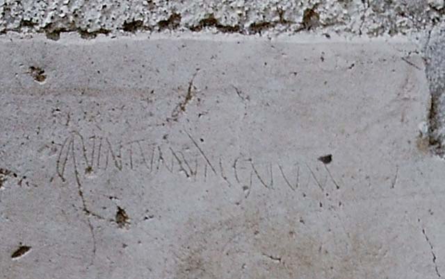 I.13.9 Pompeii. May 2005. Painted plaster in south-east corner of atrium.