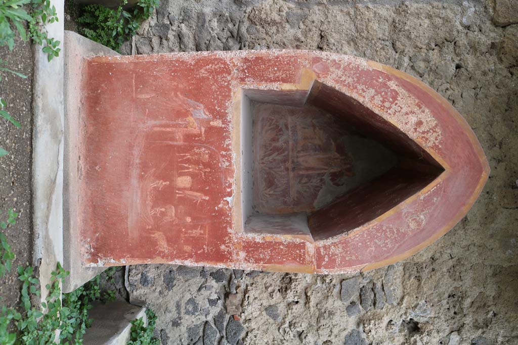 I.14.7 Pompeii. March 2009. Painted flowers and plants on the east side of the Lararium niche.