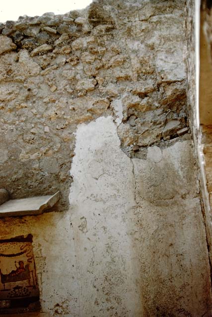 Pompeii.  December 2006. Graffiti between I.14.7 and I.14.8
According to Varone and Stefani, this is CIL IV 9918.  See Varone, A. and Stefani, G., 2009. Titulorum Pictorum Pompeianorum, Rome: L’erma di Bretschneider, (p.164-165)
According to Epigraphik-Datenbank Clauss/Slaby (See www.manfredclauss.de), this reads as –
C(aium)  Ateium  Capitonem  aed(ilem) 
rogamus  coloni  et  incolae       [CIL IV 9918a]
Suc(c)ubus v(ale)       [CIL IV 9918b]
