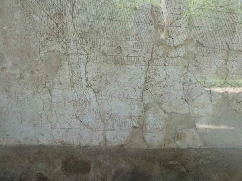 I.15.3 Pompeii. May 2010. North wall of portico 10. Ship with name Europa.