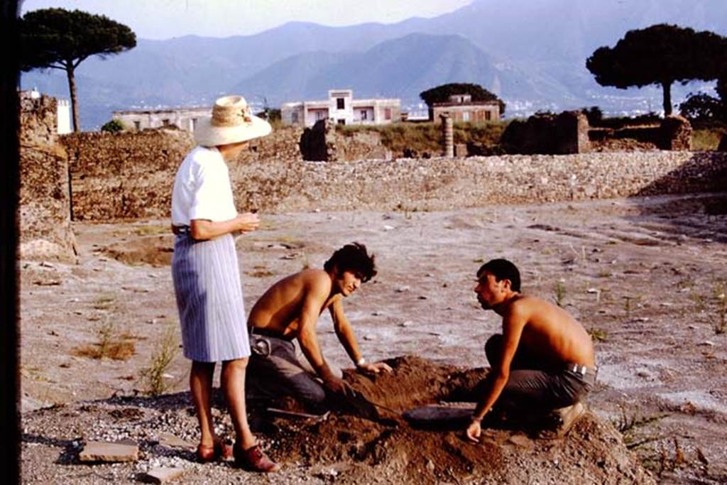 I.15.3 Pompeii, 1973. Wilhelmina discussing the tree-root, near the south wall of the site. Photo by Stanley A. Jashemski. 
Source: The Wilhelmina and Stanley A. Jashemski archive in the University of Maryland Library, Special Collections (See collection page) and made available under the Creative Commons Attribution-Non Commercial License v.4. See Licence and use details. J73f0524
