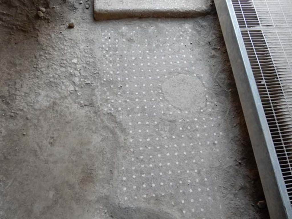 I.15.3 Pompeii. May 2015. Decorated floor in entrance room 5. 
Photo courtesy of Buzz Ferebee.
