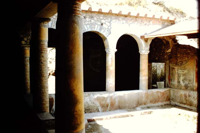 I.17.4 Pompeii.  May 2006. Open area or yard on south side of peristyle garden.  Remains of stone stairs base against south wall.

