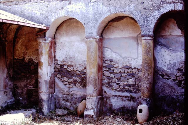 I.17.4 Pompeii. May 2006. South wall of cubiculum in south-west corner of peristyle. Remains of wall painting of Echo and Narcissus? See Bragantini, de Vos, Badoni, 1981. Pitture e Pavimenti di Pompei, Parte 1. Rome: ICCD. (p.205).