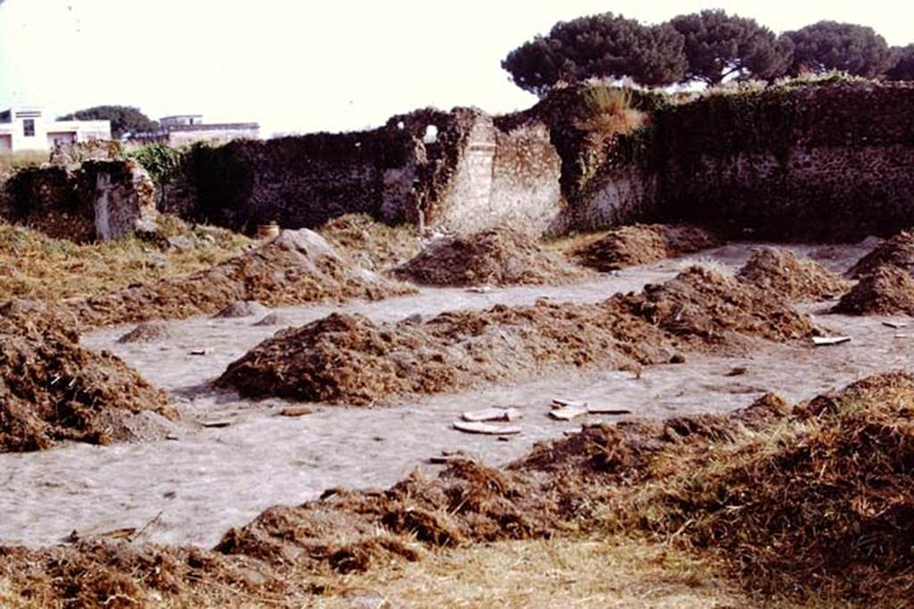 I.20.5 Pompeii. 1972. Looking south-west across site of garden/vineyard during excavations.  Photo by Stanley A. Jashemski. 
Source: The Wilhelmina and Stanley A. Jashemski archive in the University of Maryland Library, Special Collections (See collection page) and made available under the Creative Commons Attribution-Non Commercial License v.4. See Licence and use details. J72f0078
