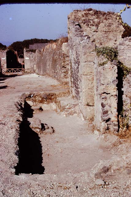 I.21.5 Pompeii. September 2005. Looking west across garden area.