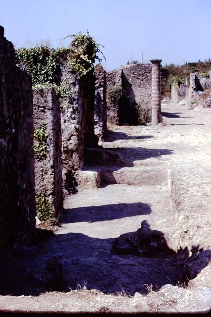 I.21.5 Pompeii. September 2005. Looking south across west side of garden area.