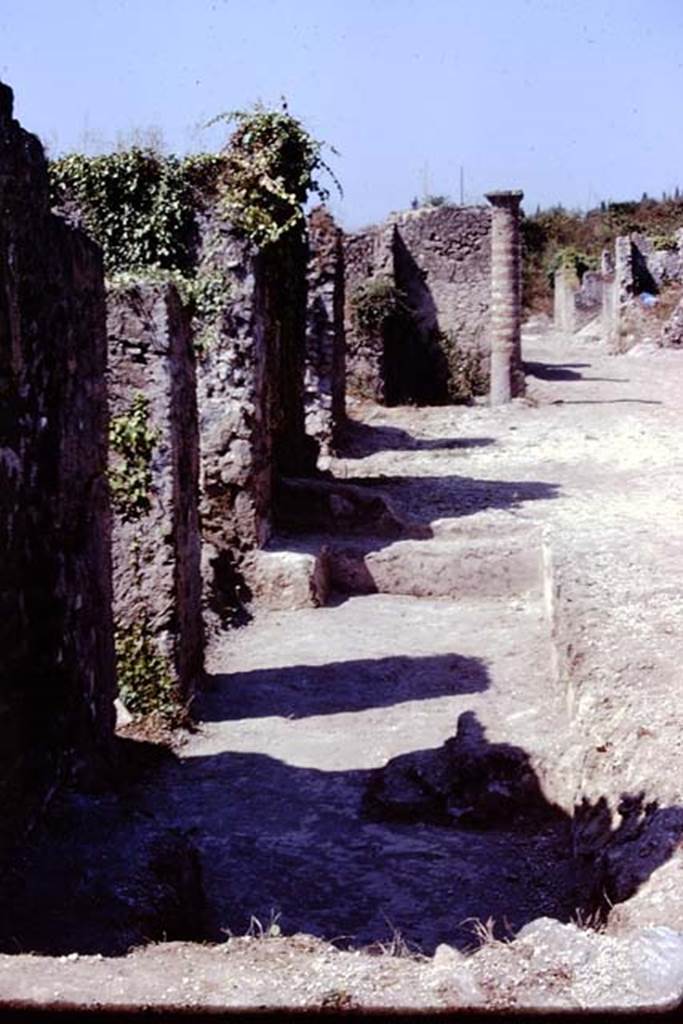 I.21.5 and I.21.4, on left, Pompeii. 1974. Looking west. Photo by Stanley A. Jashemski.   
Source: The Wilhelmina and Stanley A. Jashemski archive in the University of Maryland Library, Special Collections (See collection page) and made available under the Creative Commons Attribution-Non Commercial License v.4. See Licence and use details. J74f0711
