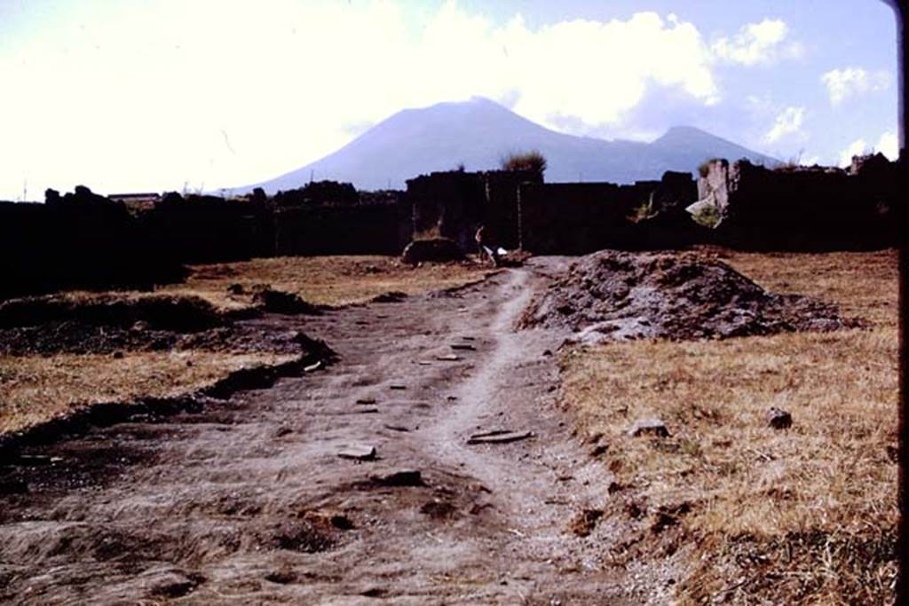 I.21.6 Pompeii, 1973. Looking north. Photo by Stanley A. Jashemski. 
Source: The Wilhelmina and Stanley A. Jashemski archive in the University of Maryland Library, Special Collections (See collection page) and made available under the Creative Commons Attribution-Non Commercial License v.4. See Licence and use details. J73f0465
