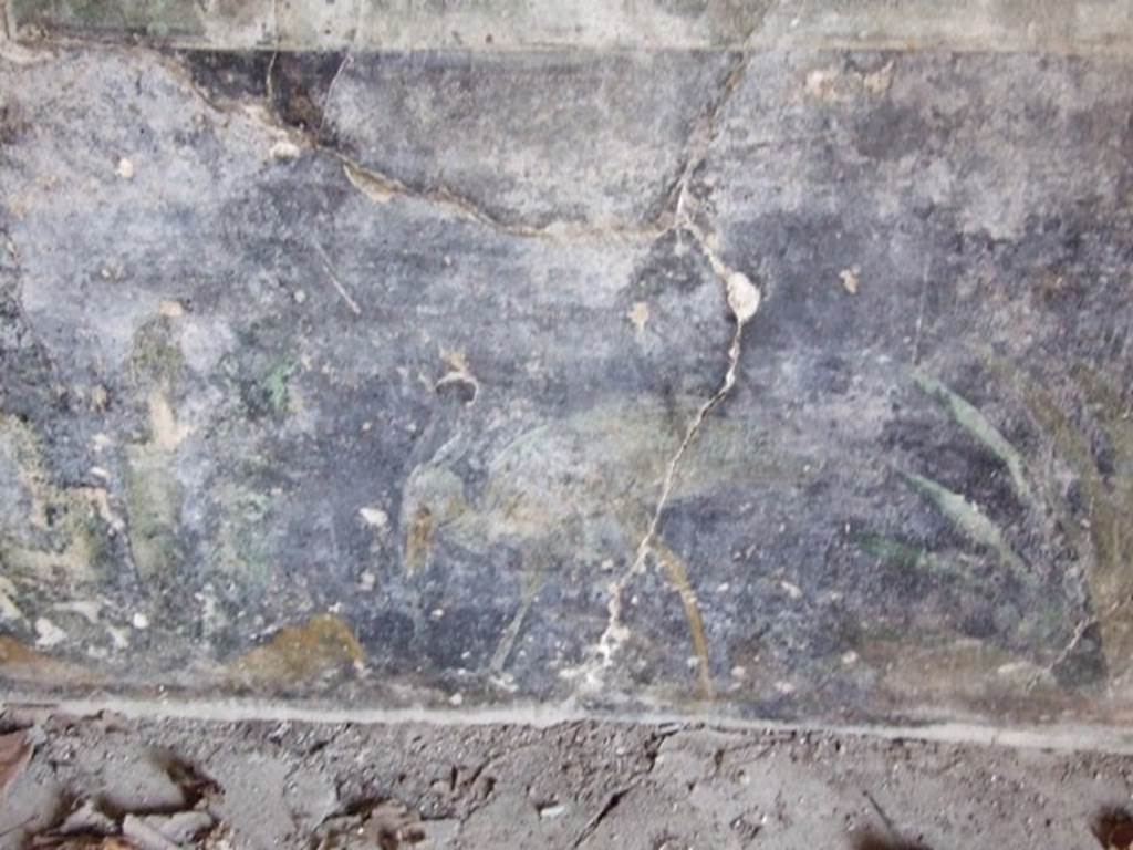 II.1.12 Pompeii. March 2009. North wall of triclinium with remains of wall decoration.