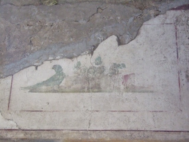 II.1.12 Pompeii. March 2009. North wall of triclinium with remains of wall decoration.
 
