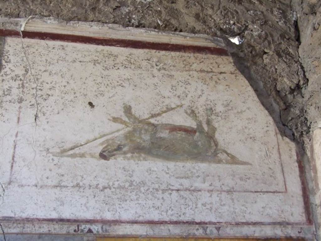 II.1.12 Pompeii. March 2009. Painted plants on lower north wall of triclinium.