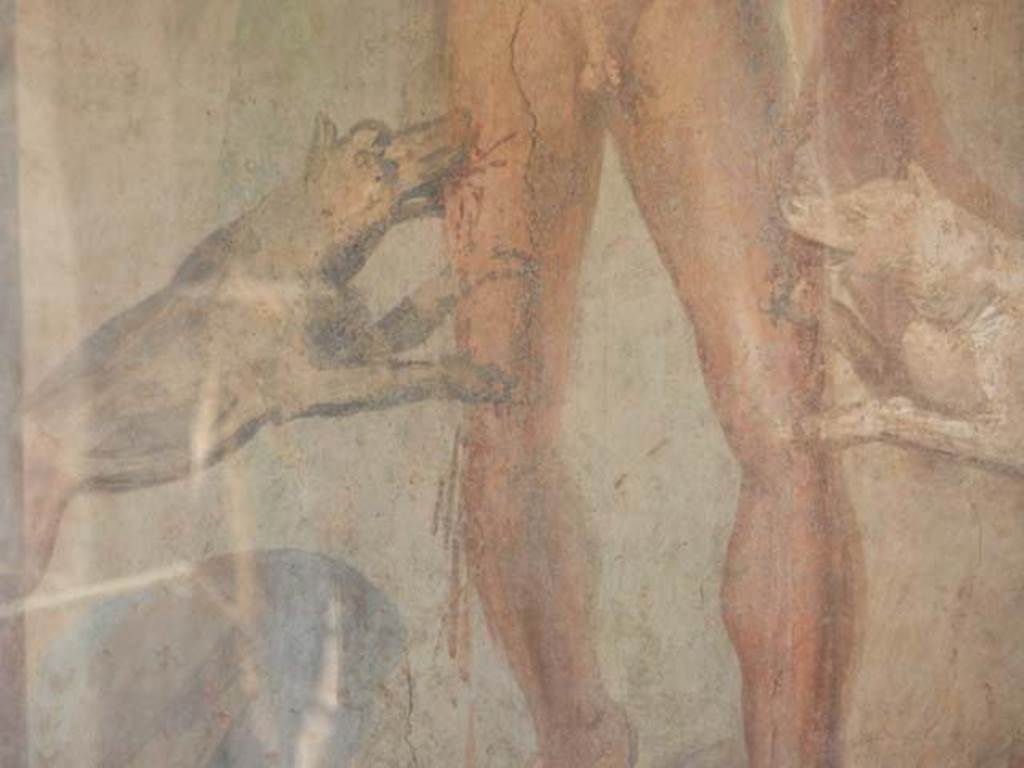 II.2.2 Pompeii. May 2016. Room 11, west end of upper euripus. Detail from painting of Actaeon being attacked by the goddess Diana’s dogs. Photo courtesy of Buzz Ferebee.

