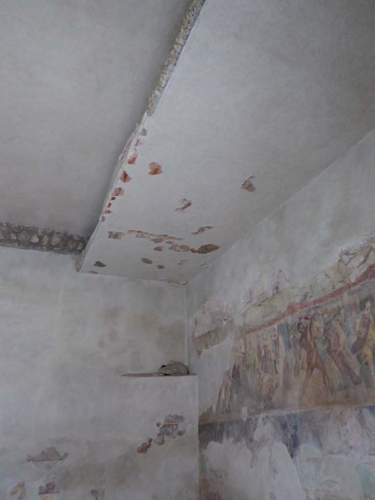 II.2.2 Pompeii. January 2017. Room “h”, detail of north-east corner and ceiling.
Foto Annette Haug, ERC Grant 681269 DÉCOR.
