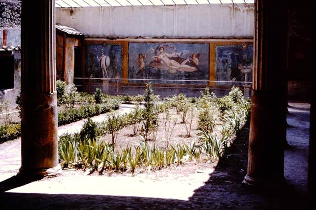 II.3.3 Pompeii. 1964. Room 11, looking south across garden area. Photo by Stanley A. Jashemski.
Source: The Wilhelmina and Stanley A. Jashemski archive in the University of Maryland Library, Special Collections (See collection page) and made available under the Creative Commons Attribution-Non Commercial License v.4. See Licence and use details.
J64f1699

